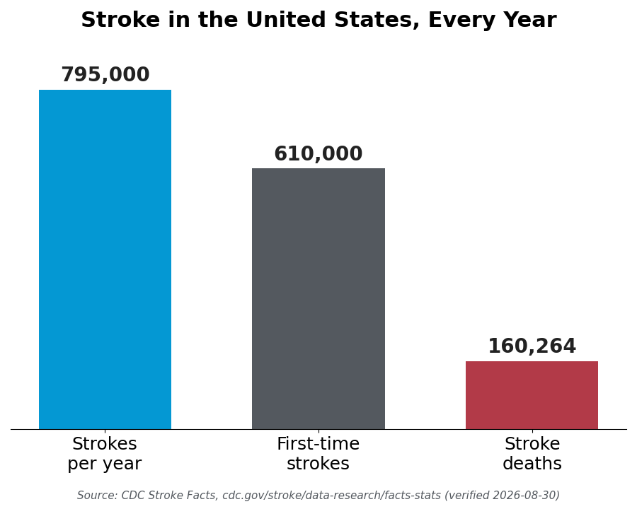 Bar chart showing 795,000 total strokes, 610,000 first-time strokes, and 160,264 stroke deaths per year in the United States, sourced from CDC Stroke Facts